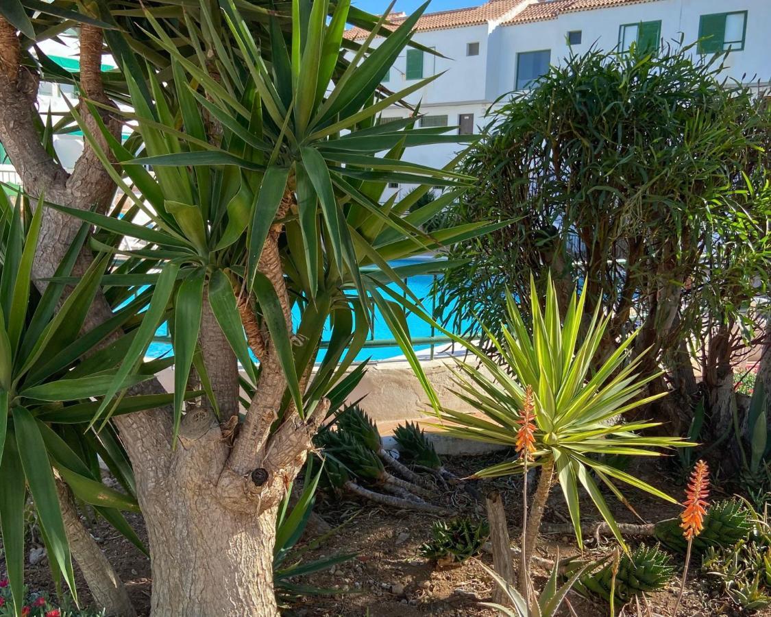 Vacacional Paradise Appartement Arona (Tenerife)