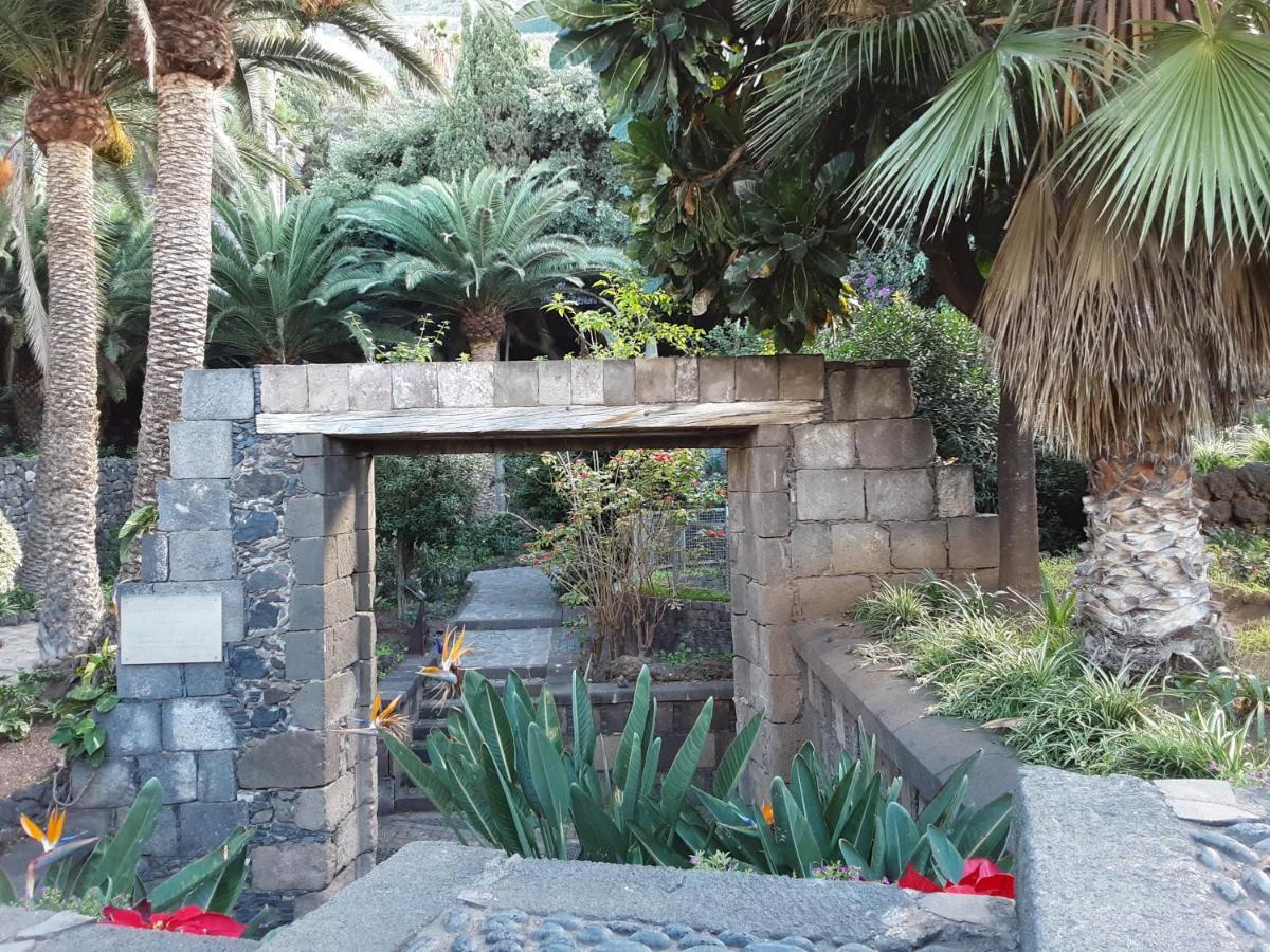 Marjul Ii Garachico (Tenerife)