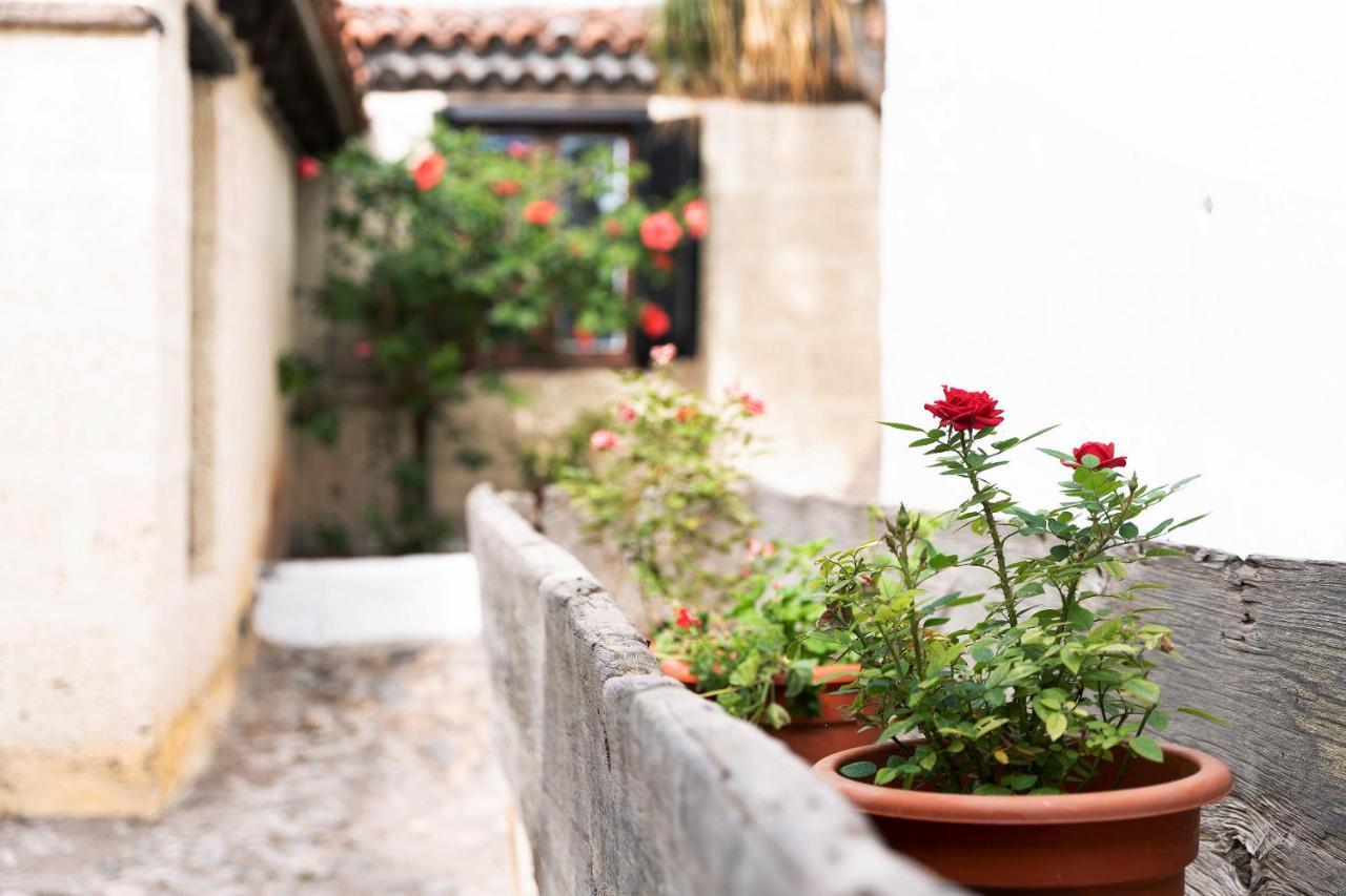 Casa El Drago Arico