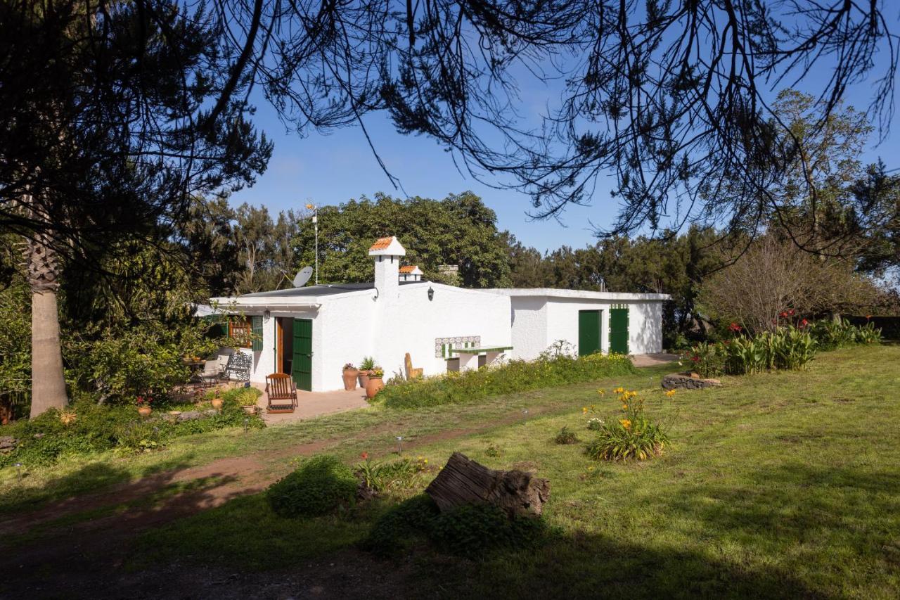 Home2book Suerte Del Pino *
