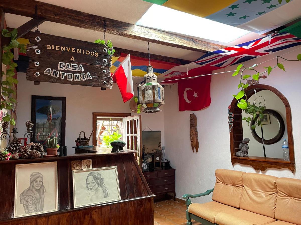 Casa Antonia Icod De Los Vinos