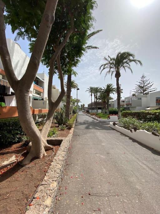 Deniz Sur - Bel Arona (Tenerife)