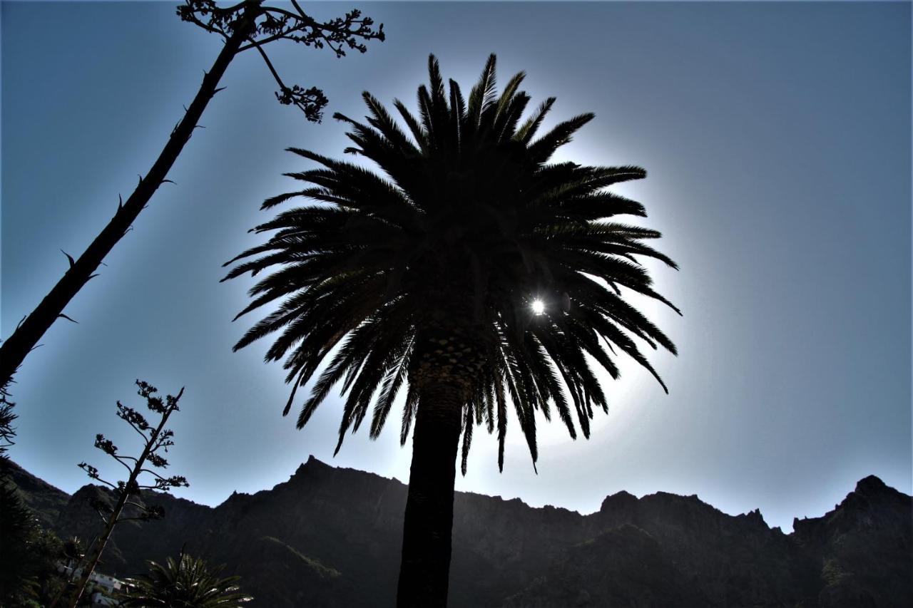 Tenerife Adeje Costa Adeje (Tenerife)