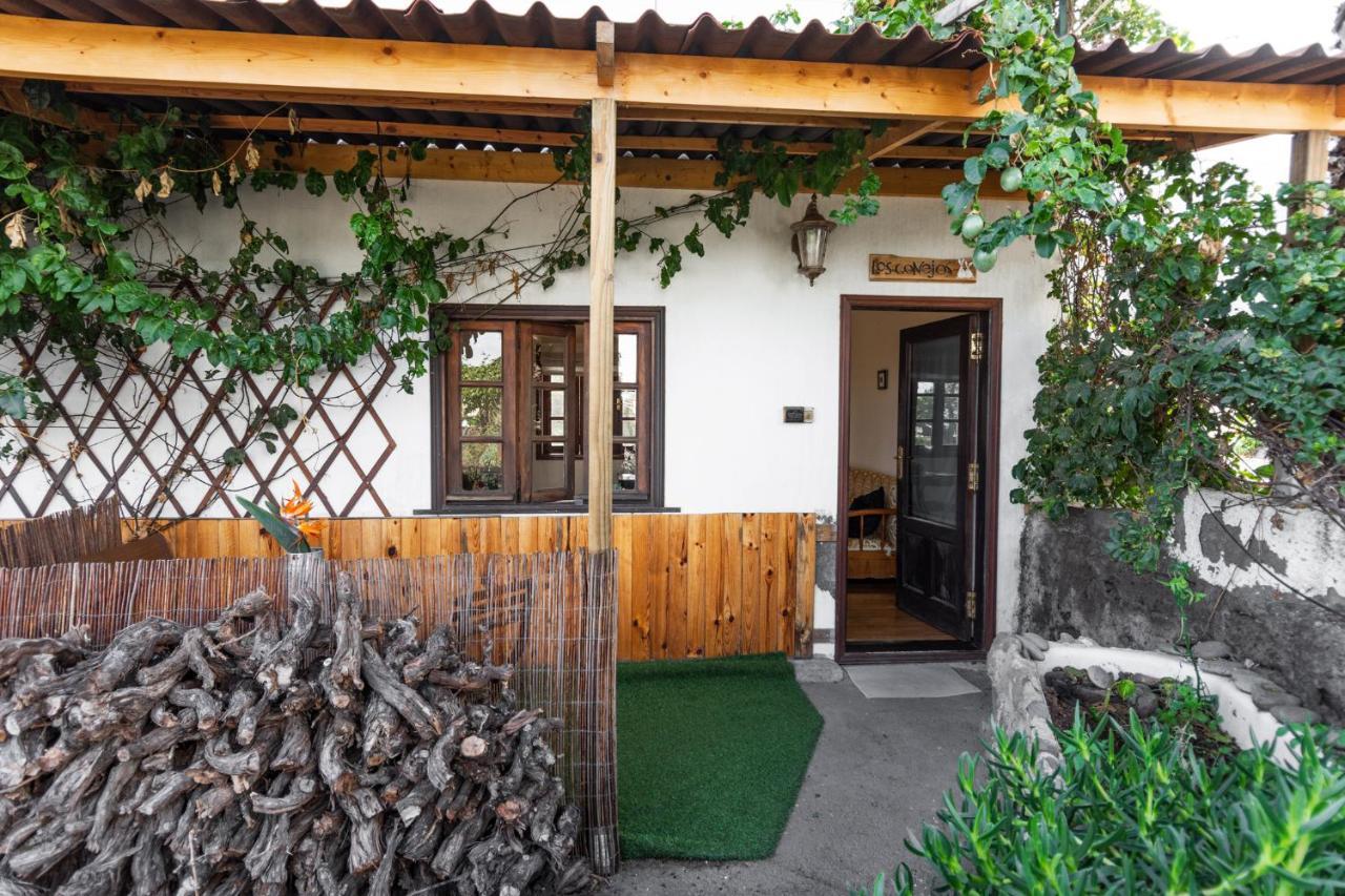 Conejos Farm stay Santa Cruz de Tenerife