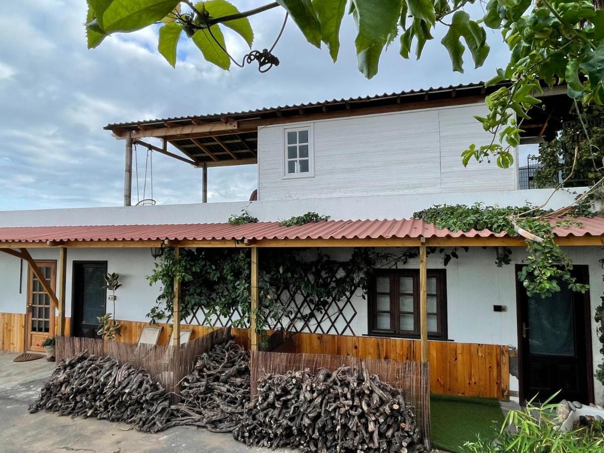 Séjour à la ferme Pajaros Santa-Cruz de Ténérife