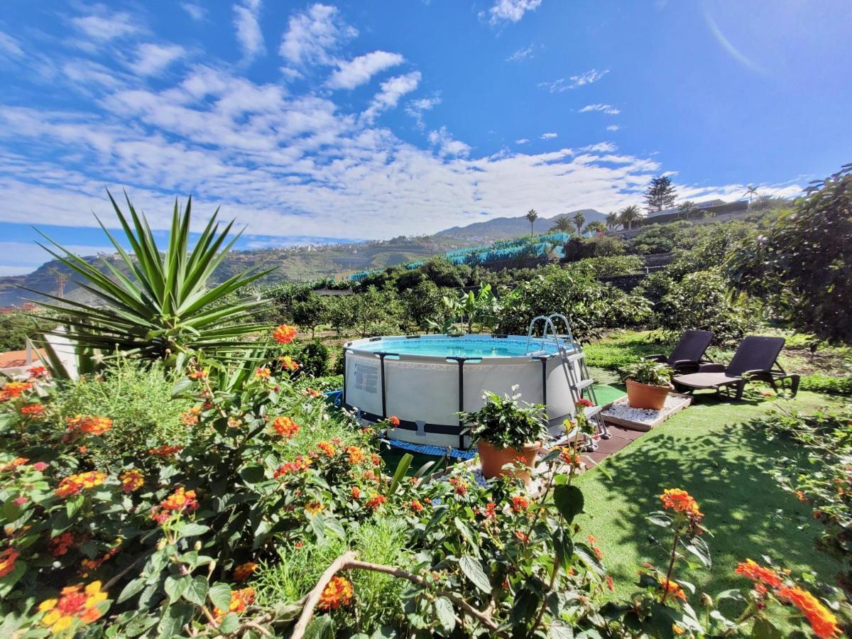 Bollullo Sunset - Bucare Apartment La Orotava