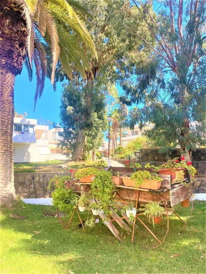 Marysol - Lovely Tenerife Sur * Arona (Tenerife)