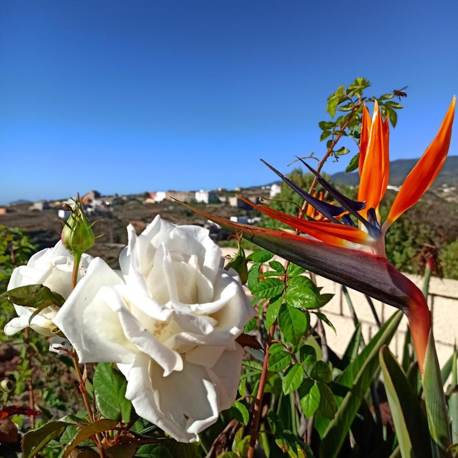 Finca Aurora - Peaceful Apartmentin Arico