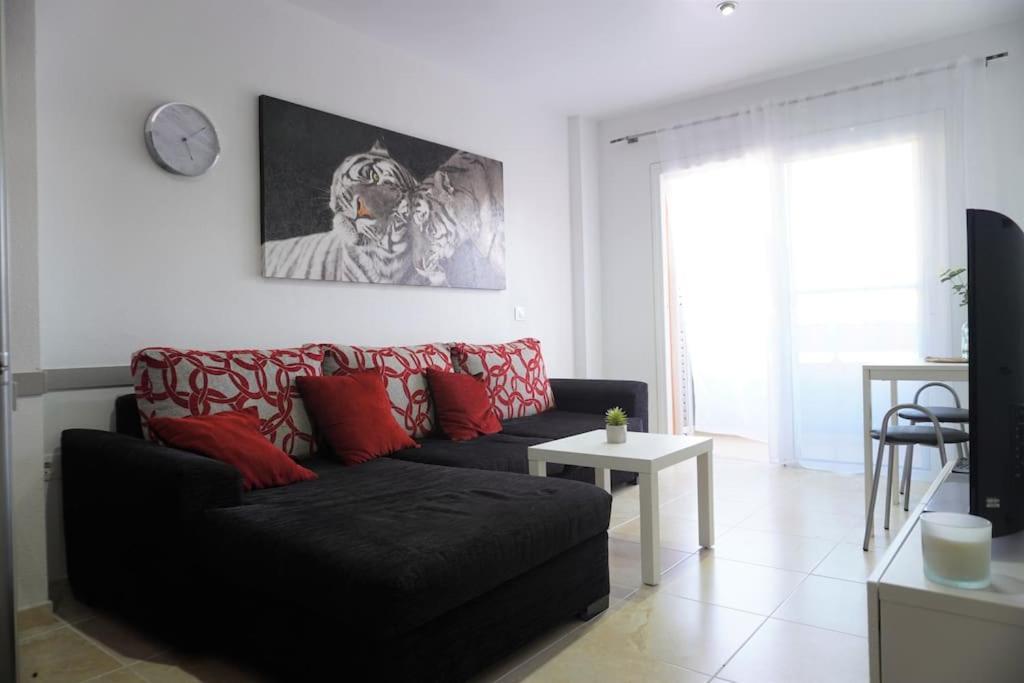 Appartement South Coast *