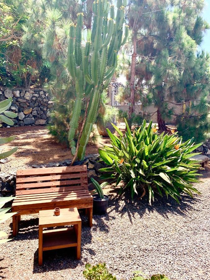 Apartamento Stilvolle In Teneriffa Süd