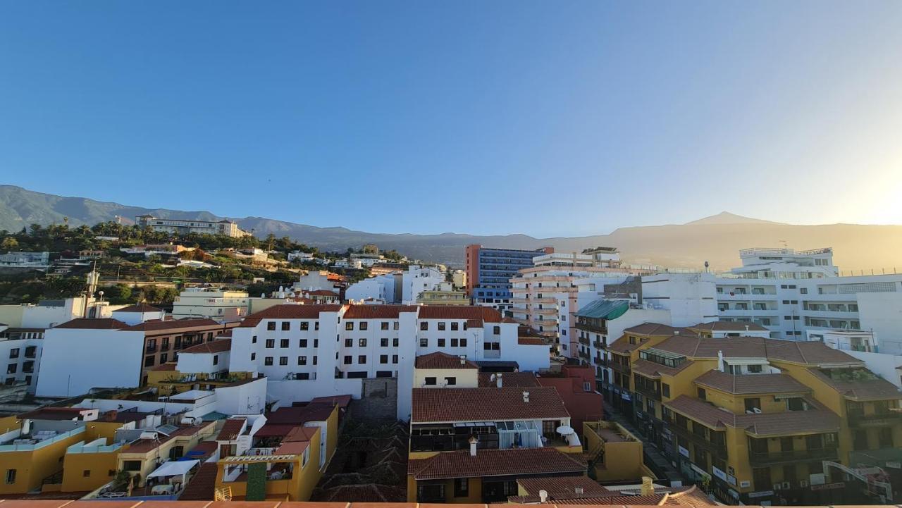 Girasol Puerto de la Cruz (Tenerife)
