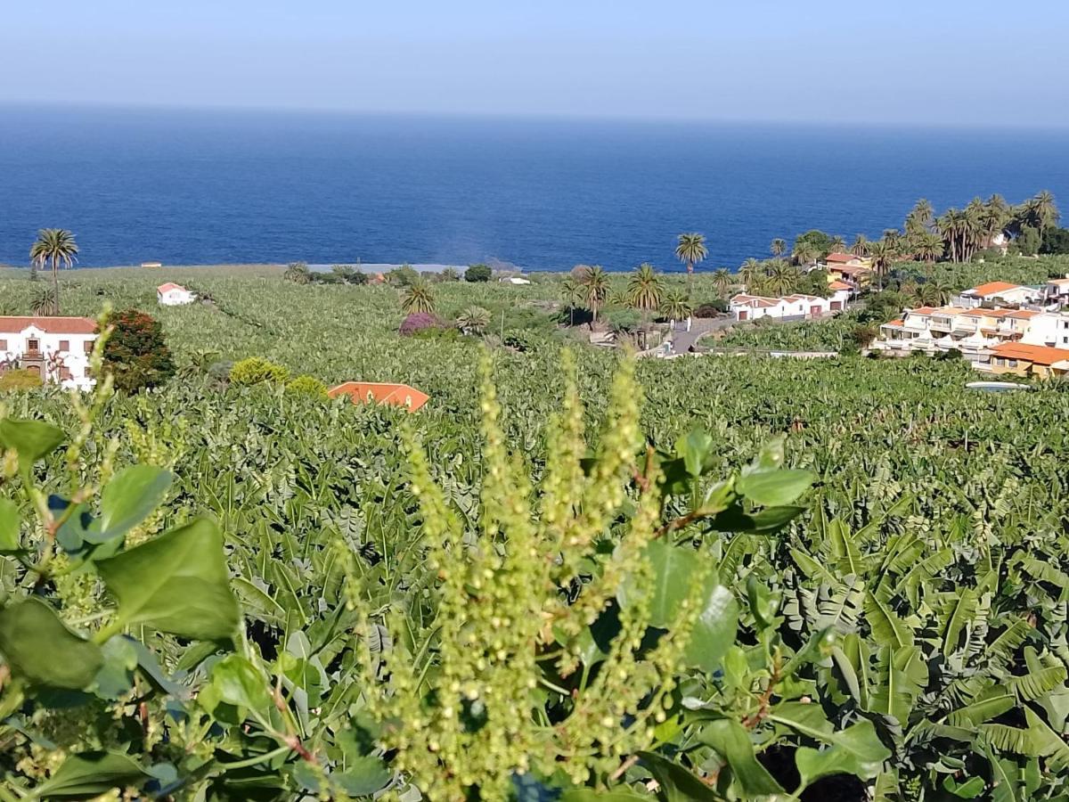 Hébergement de vacances Casa San Felipe By Paramount Holidays Icod De Los Vinos