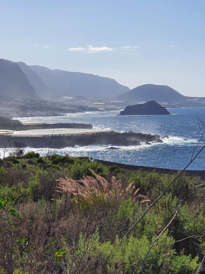 Monis Rooms,apartment Holidays Green Tenerife Playa San Marcos Icod De Los Vinos
