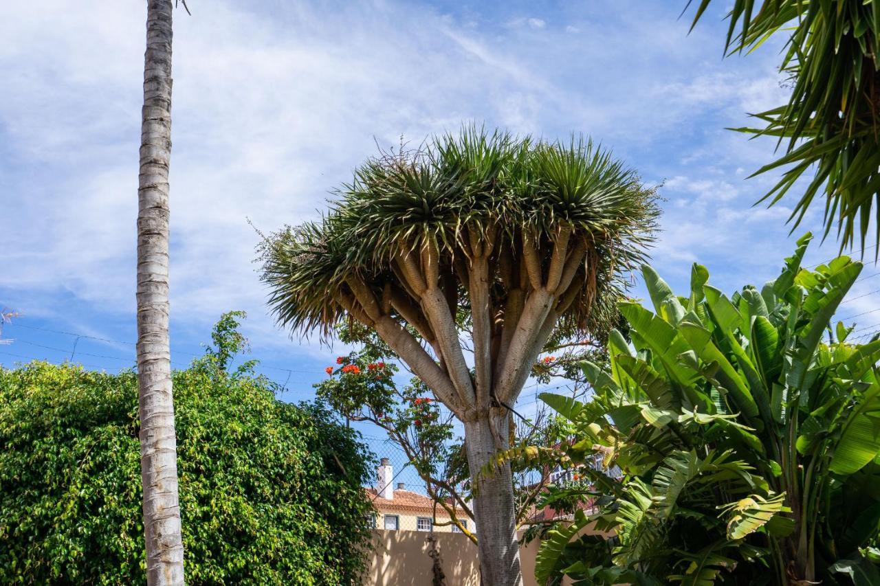 Espectacular Casa Con Jardin 