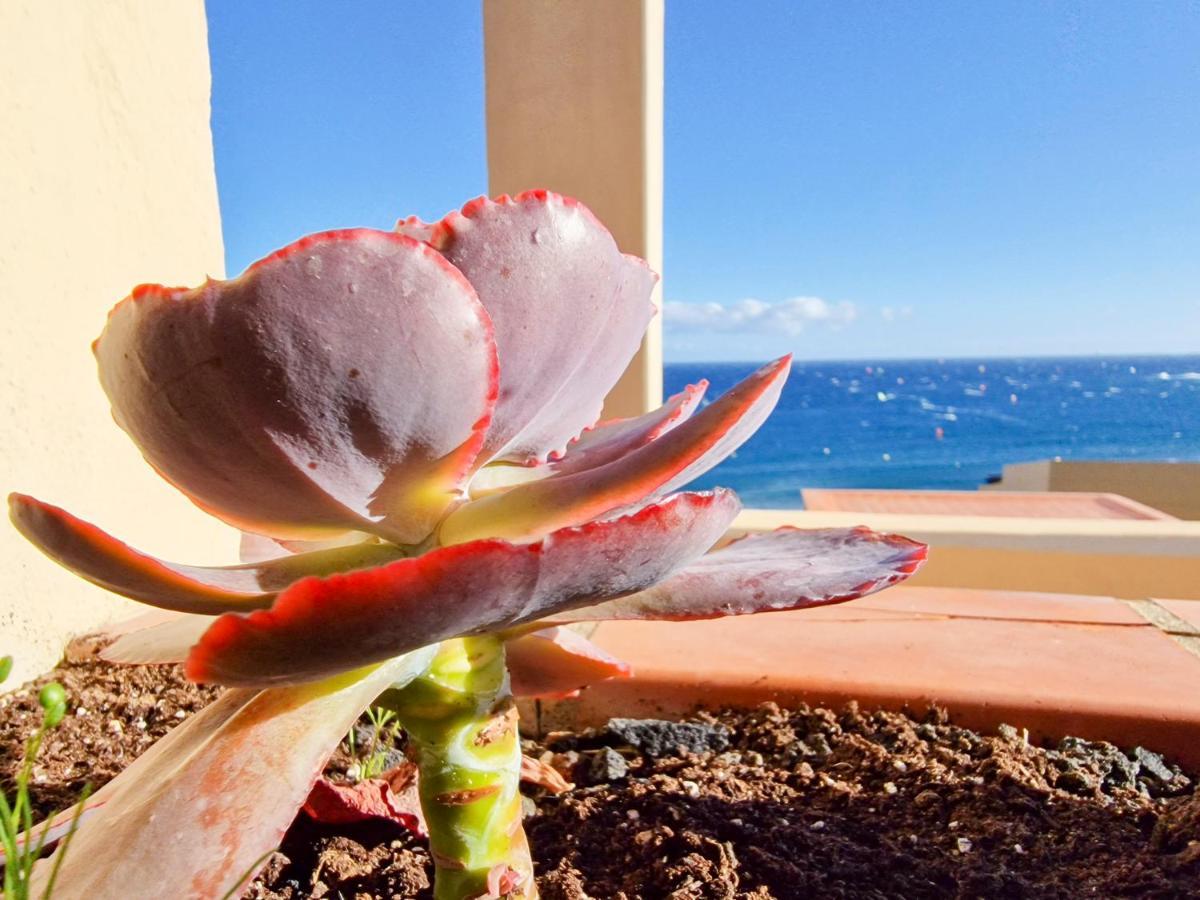 Medano4you The Ocean Terrace Penthouse Apartment *