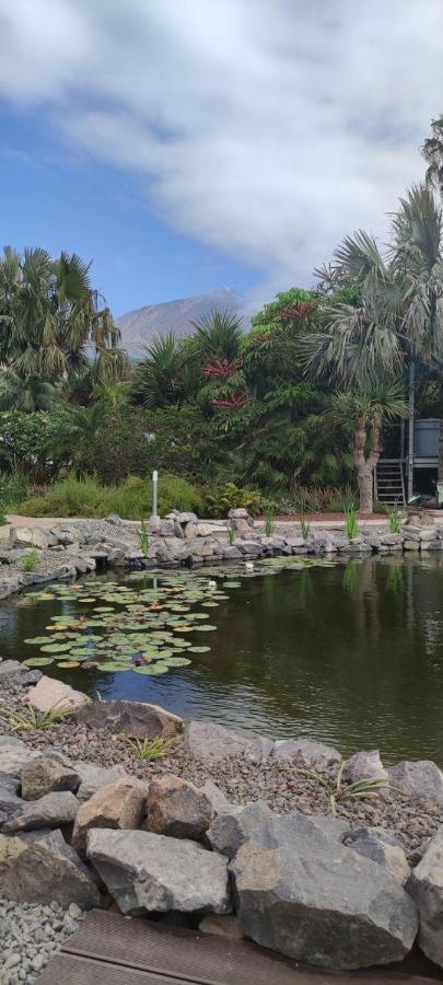 Herrlicher-atlantik-blick-finca-la-punta-mit-garten-und-terrasse *