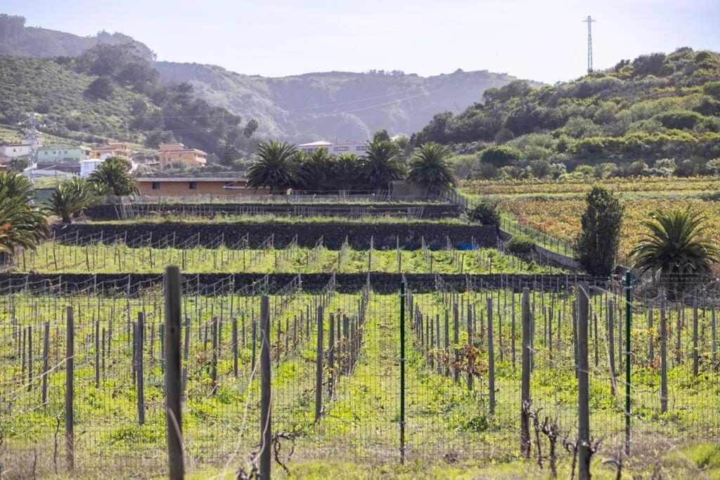 Casita Entre Vinedos, Experiencia Rural, Ideal Ninos. Holiday home *