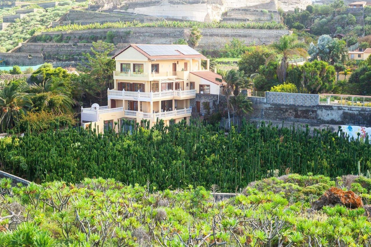 Herrlicher-atlantik-blick-finca-la-punta-mit-garten-und-terrasse Apartment