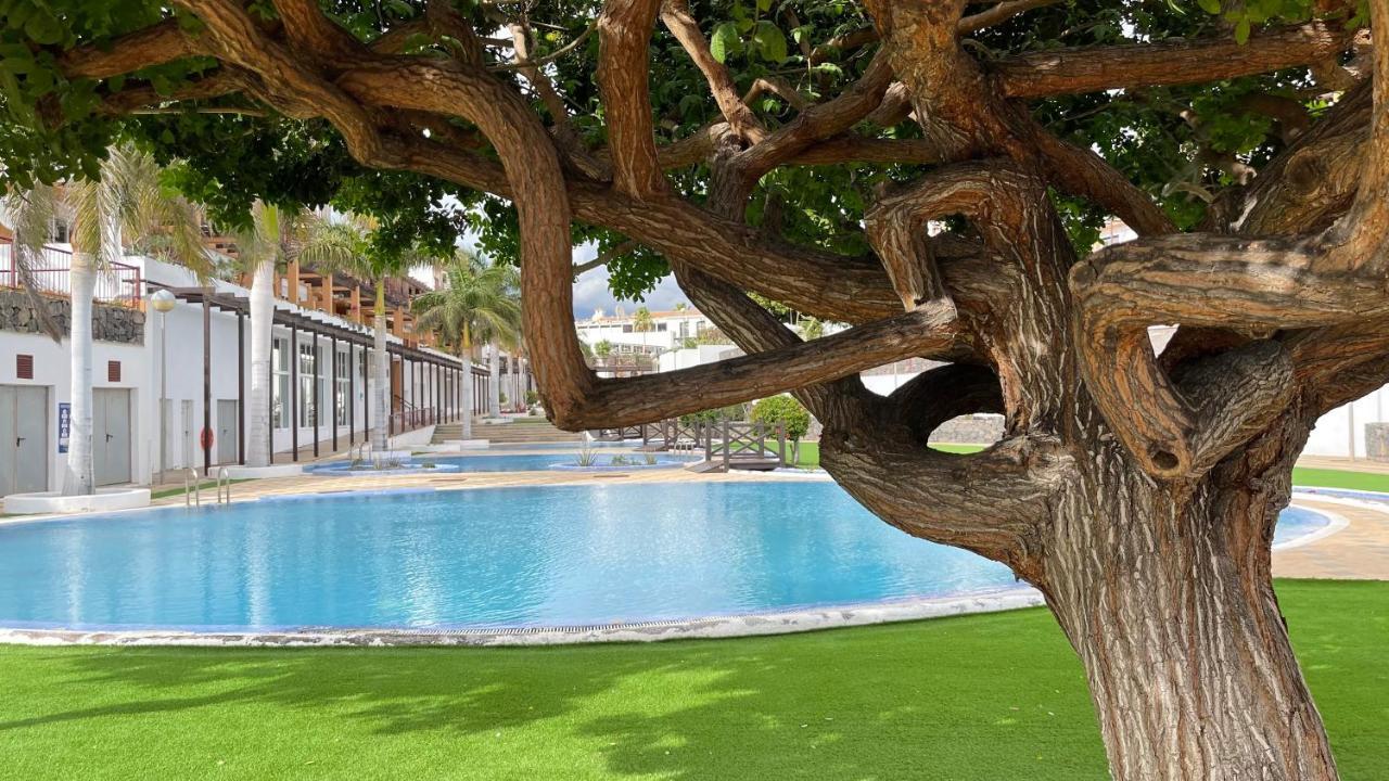 Casa Helen 2 Tenerife Sur Apartment San Miguel de Abona