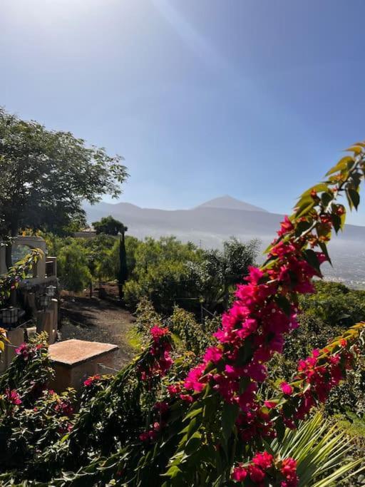 Cozy * Costa Adeje (Tenerife)