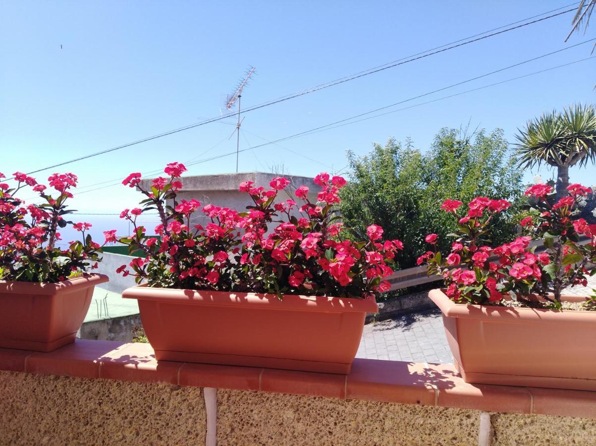 Casa Isabel - *