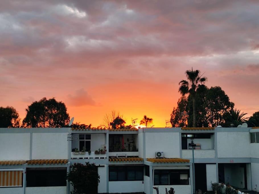 Apartment El Drago *