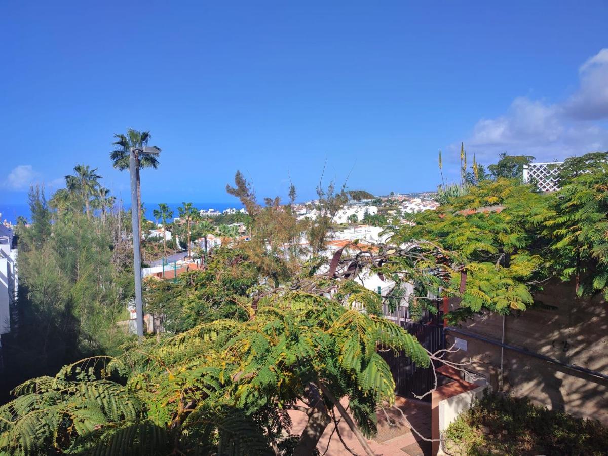 Sunshine Island Village * Costa Adeje (Tenerife)