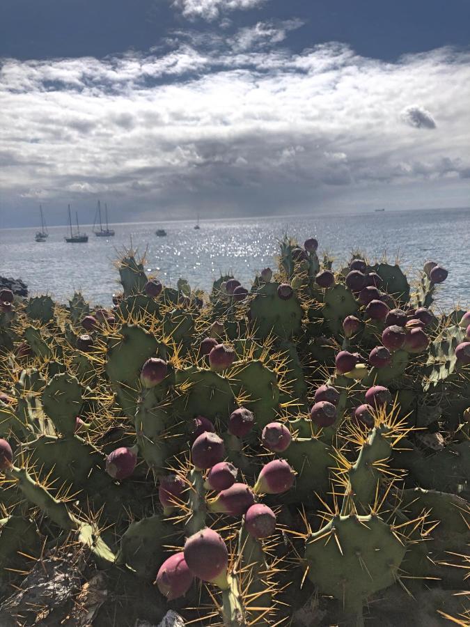 Casa Soleada * Arona (Tenerife)