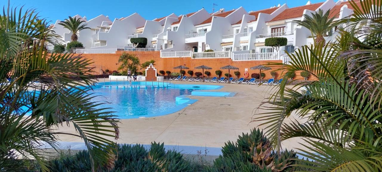 Club Family * San Miguel de Abona