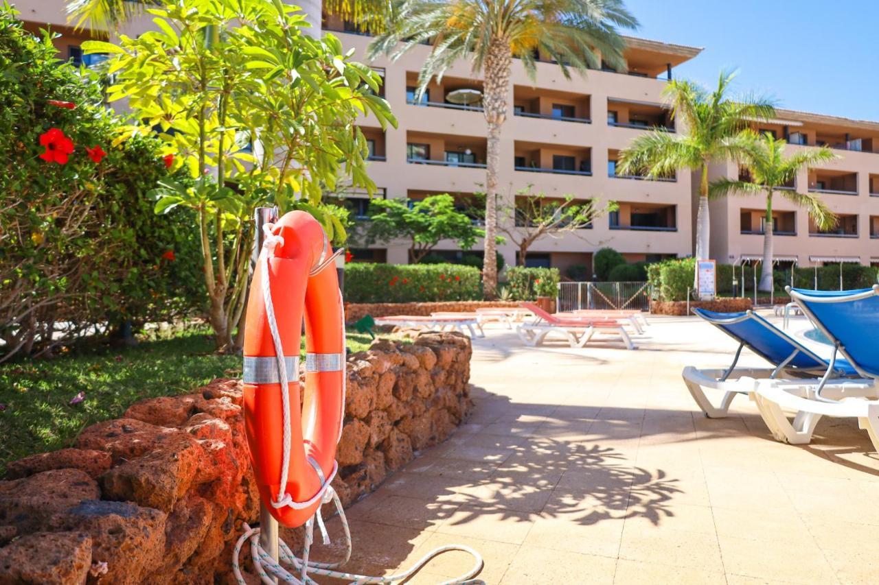 Chill In Paradise Apartment