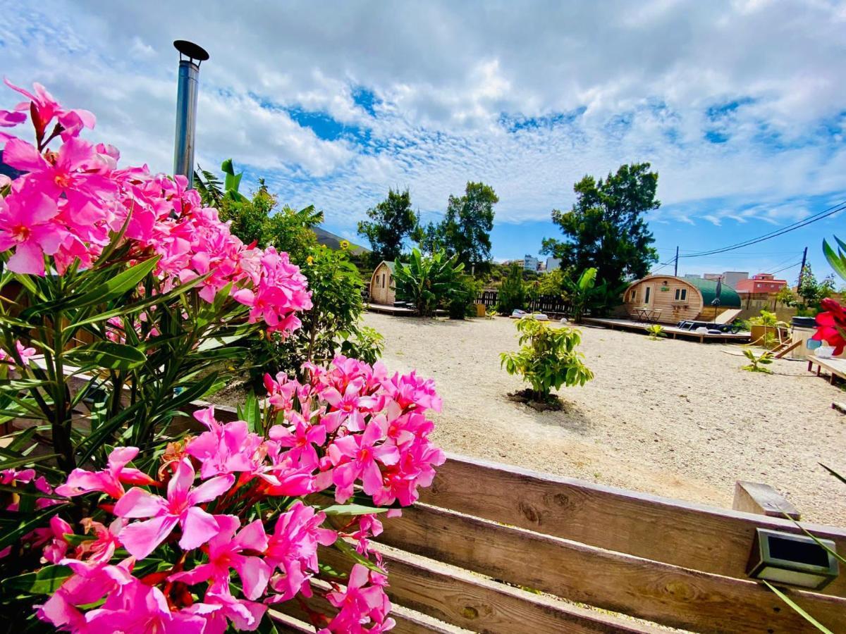 Hébergement de vacances Laurisilva Sauna Y Piscina *