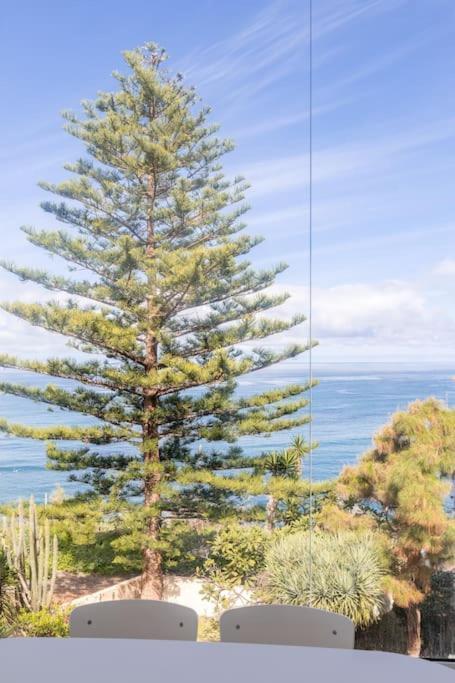 Appartement Coastal Vista: Retreat In Nature