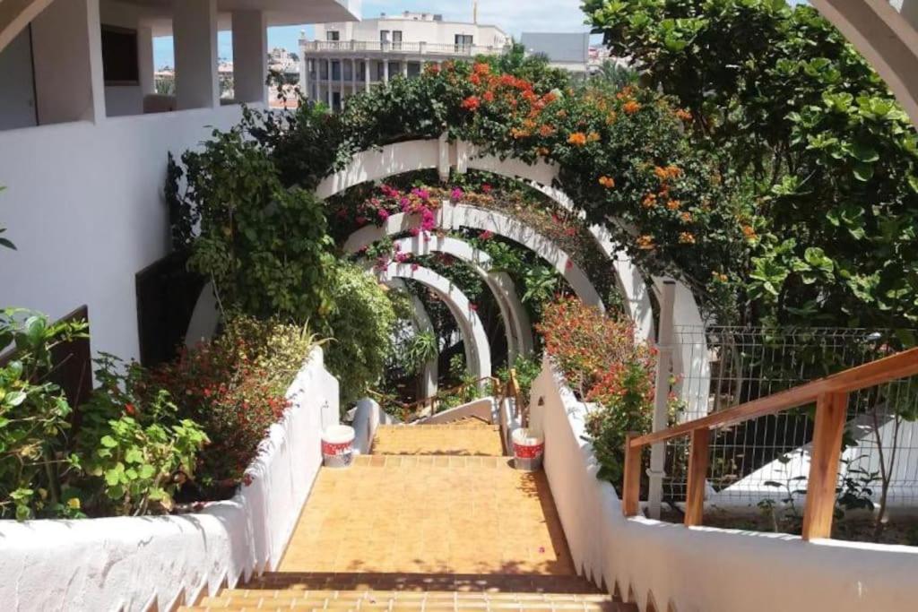 Parque Royal Appartement *