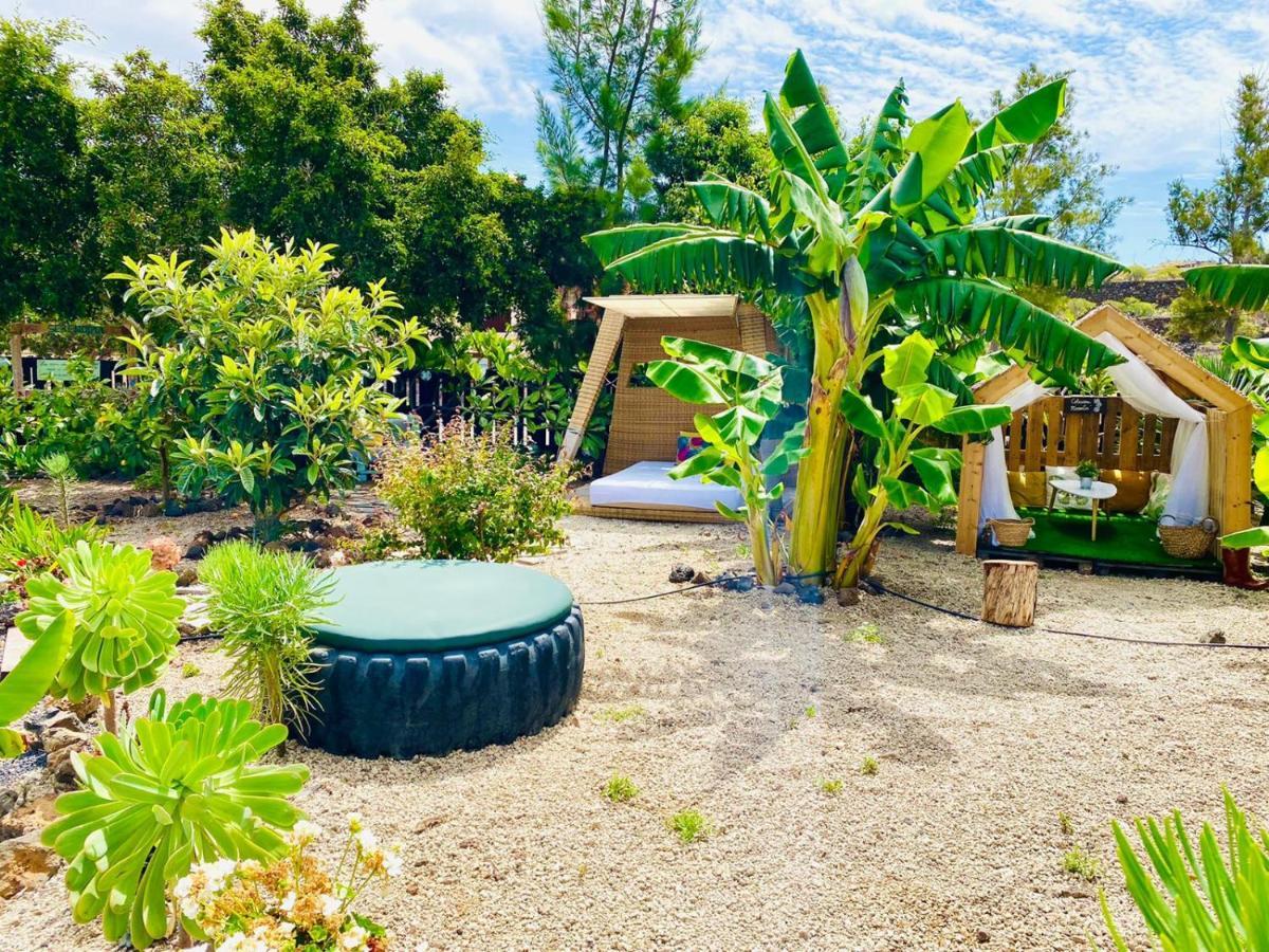 Bernegal Maday Hot Tub Climatizado Piscina Y Jardin Hébergement de vacances *