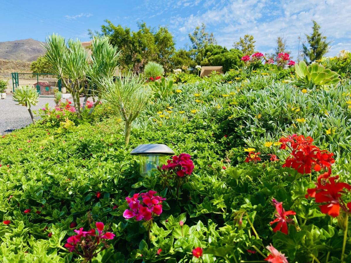 Holiday home Nashira Hot Tub Piscina Y Jardin *