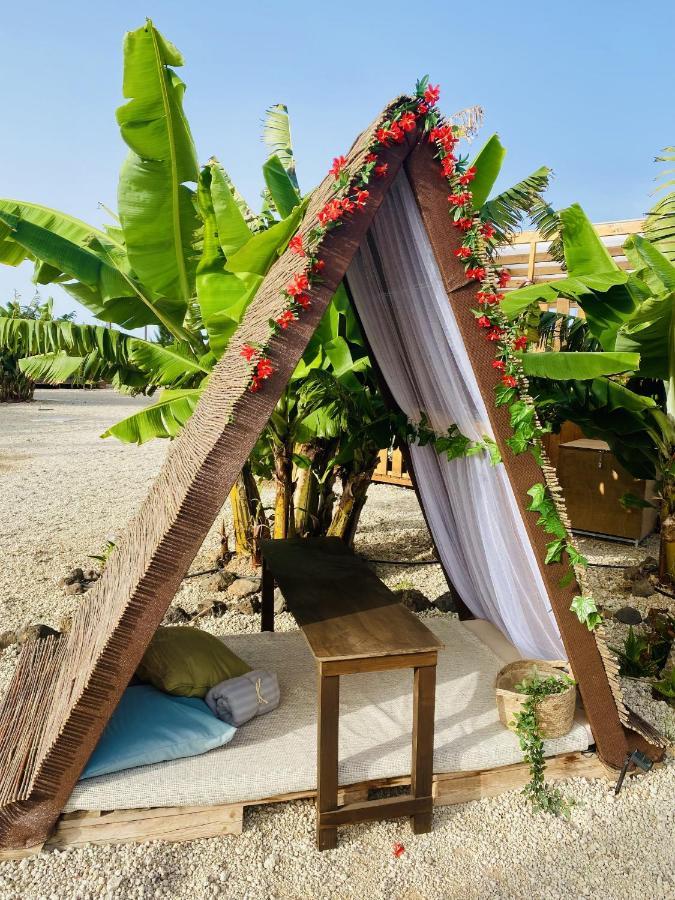 Bernegal Maday Hot Tub Climatizado Piscina Y Jardin Buzanada