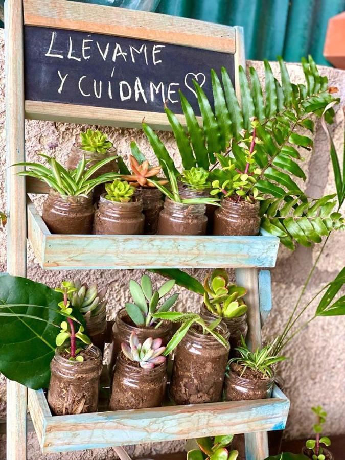 Lykke Sauna Piscina Y Jardin Appartement Buzanada