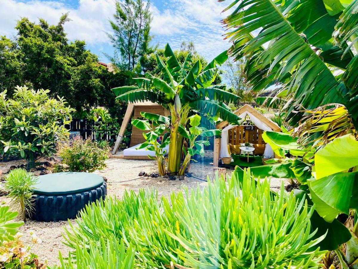 Holiday home Nashira Hot Tub Piscina Y Jardin Buzanada