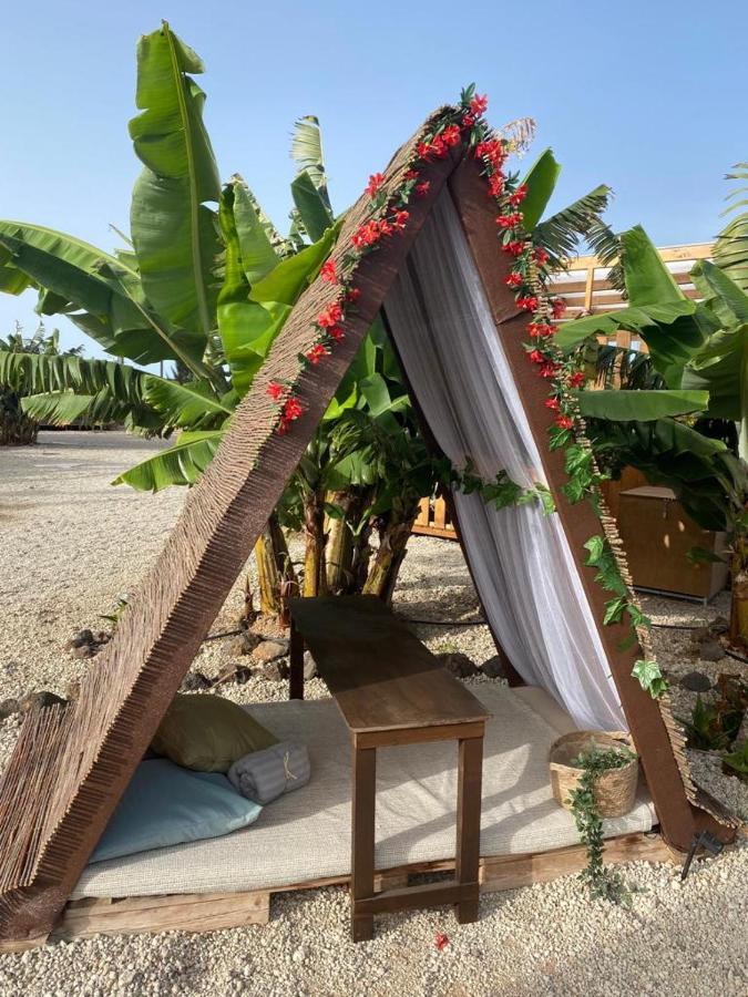 Hébergement de vacances Laurisilva Sauna Y Piscina *