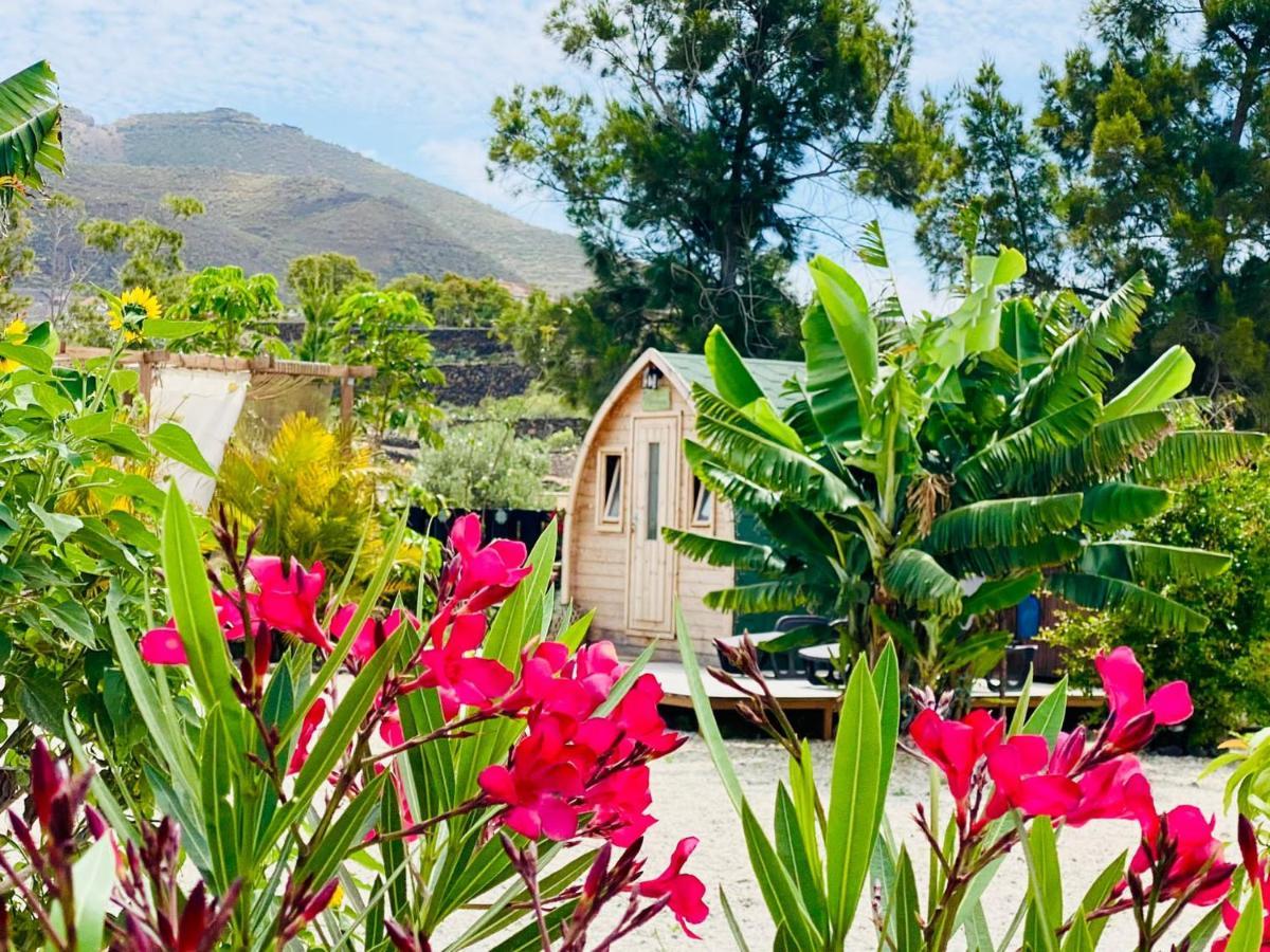 Hébergement de vacances Laurisilva Sauna Y Piscina
