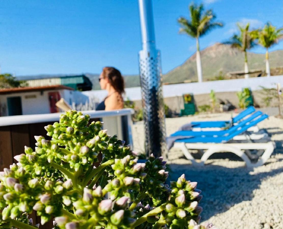 Hébergement de vacances Laurisilva Sauna Y Piscina *