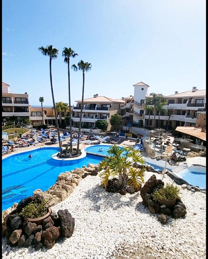 Appartement Golf Del Sur Albatros Park Piscina Climatizada Fast Wifi *