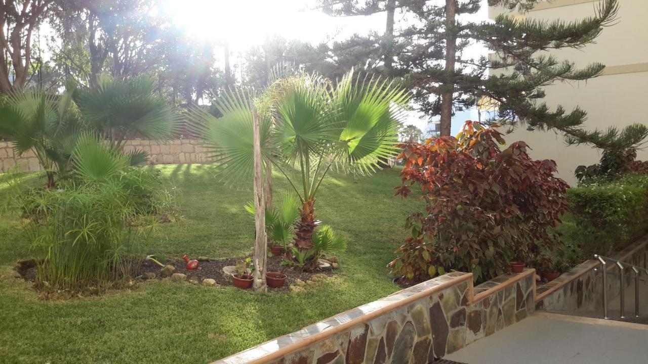 Lovely 1-bedroom With A Big Terrace, Americas, Tenerife * Arona (Tenerife)