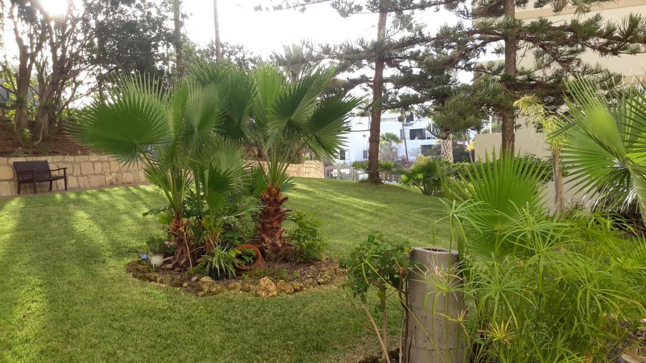 Apartamento Lovely 1-bedroom With A Big Terrace, Americas, Tenerife