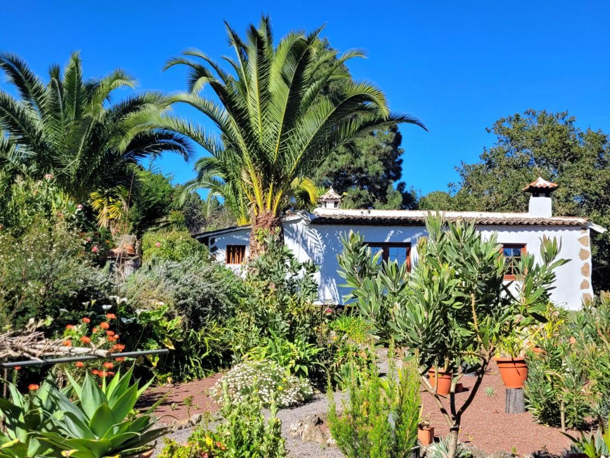 Llano De La Cebolla Country house Icod De Los Vinos