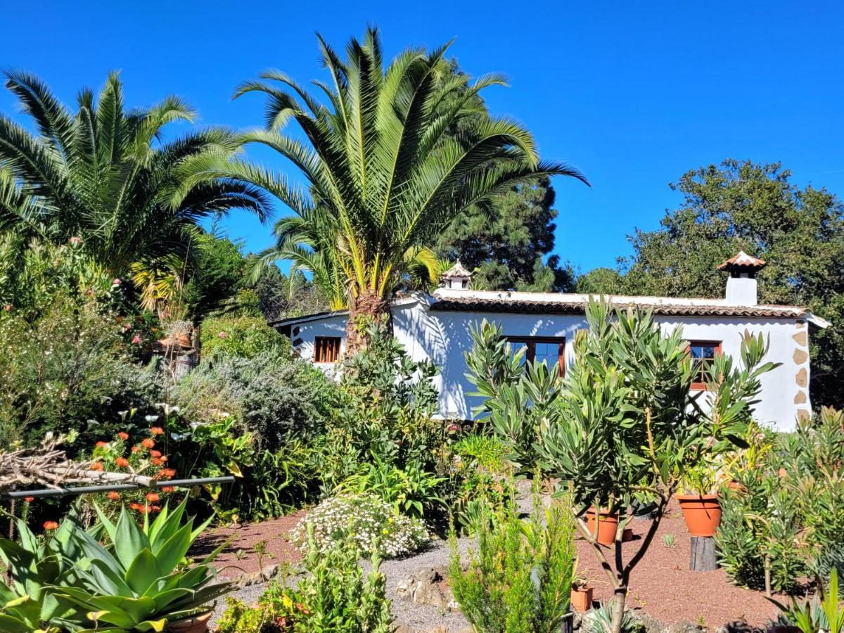 Country house Llano De La Cebolla Icod De Los Vinos