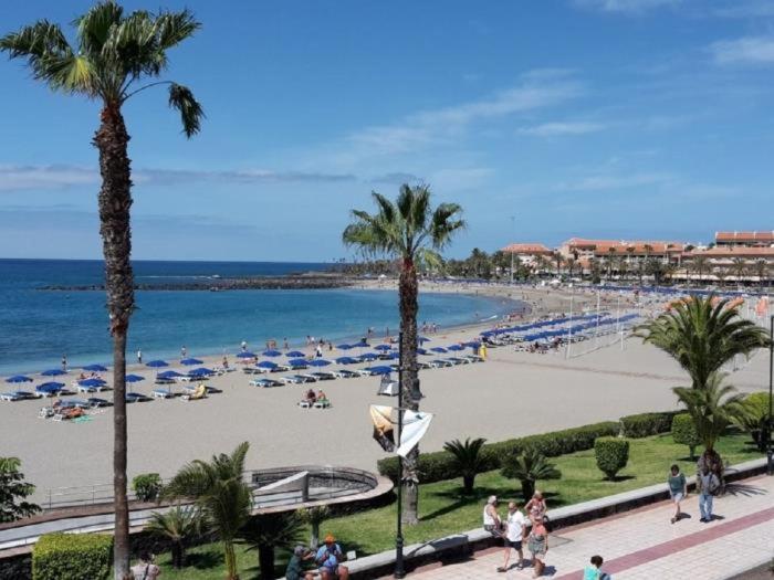 102 Bright Accomodation With Pool View Appartement *