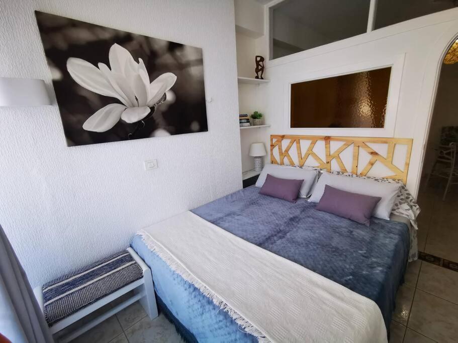 Appartement Estudio Ana