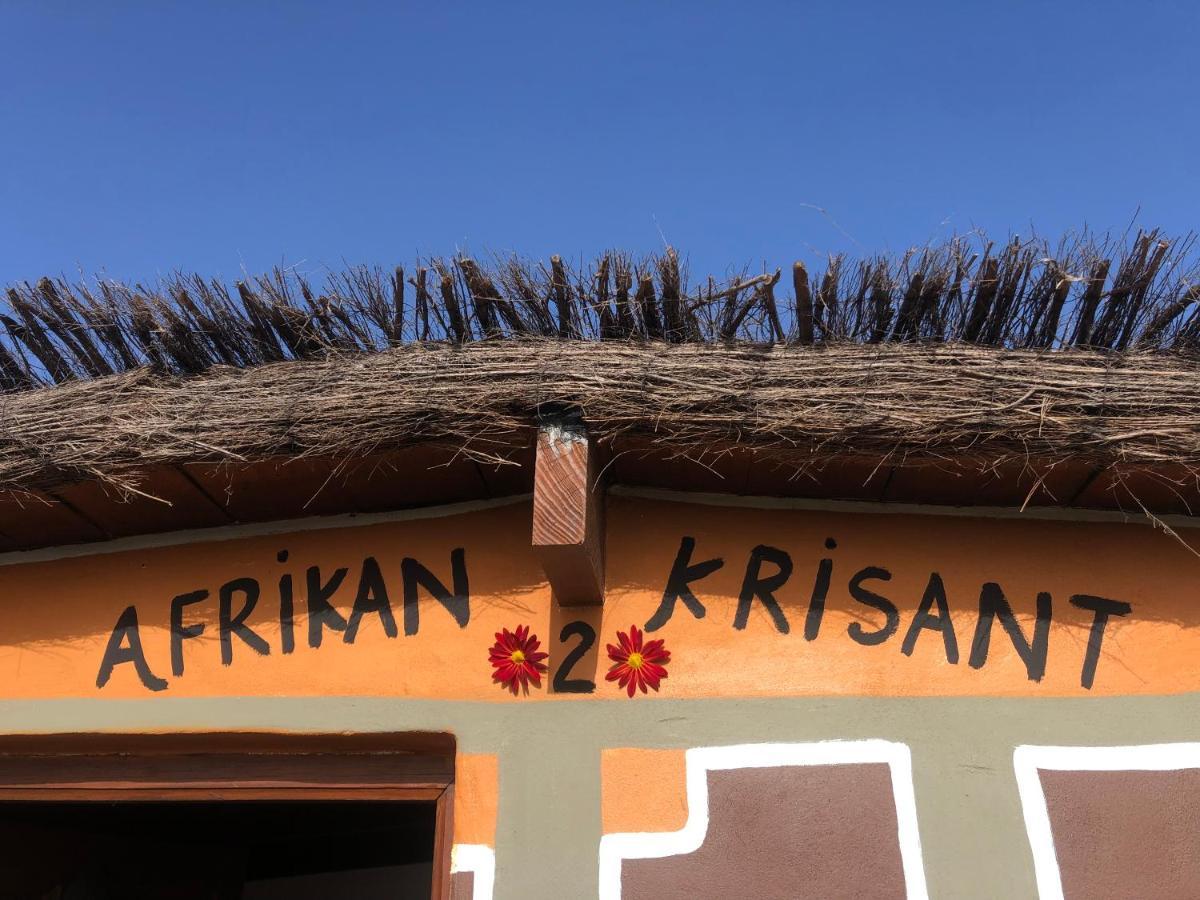 Villa Afrikan Krisant Tenerife, Ecologica *