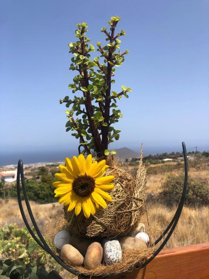 Villa Afrikan Krisant Tenerife, Ecologica